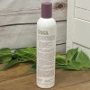 ABBA Botanical High Thickening Conditioner 10.1 fl oz Volume Shine