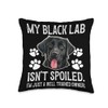 Black Lab Isn't Spoiled Black Lab Owner Black Labrador Lover