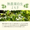 【残留農薬検査済】オーガランド よもぎパウダー 100g×2個 無農薬 国産 粉末 ヨモギ粉末 ヨモギ茶 よもぎ茶