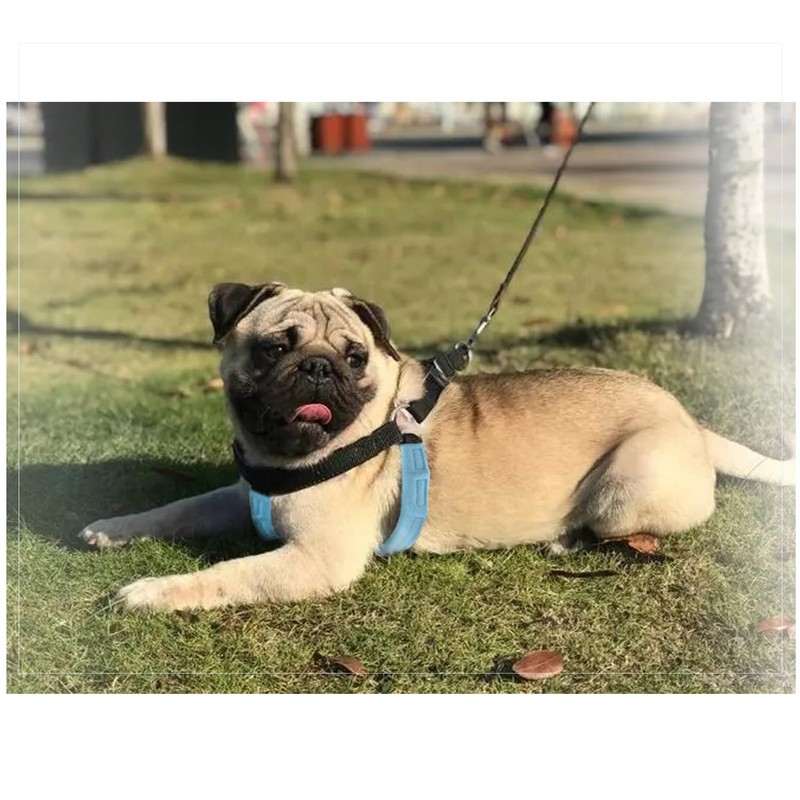 Pranovo Dog Harness Pad - Soft Padding for Comfort and