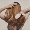 dae Vegan Detangle + Style Brush for All Hair Types