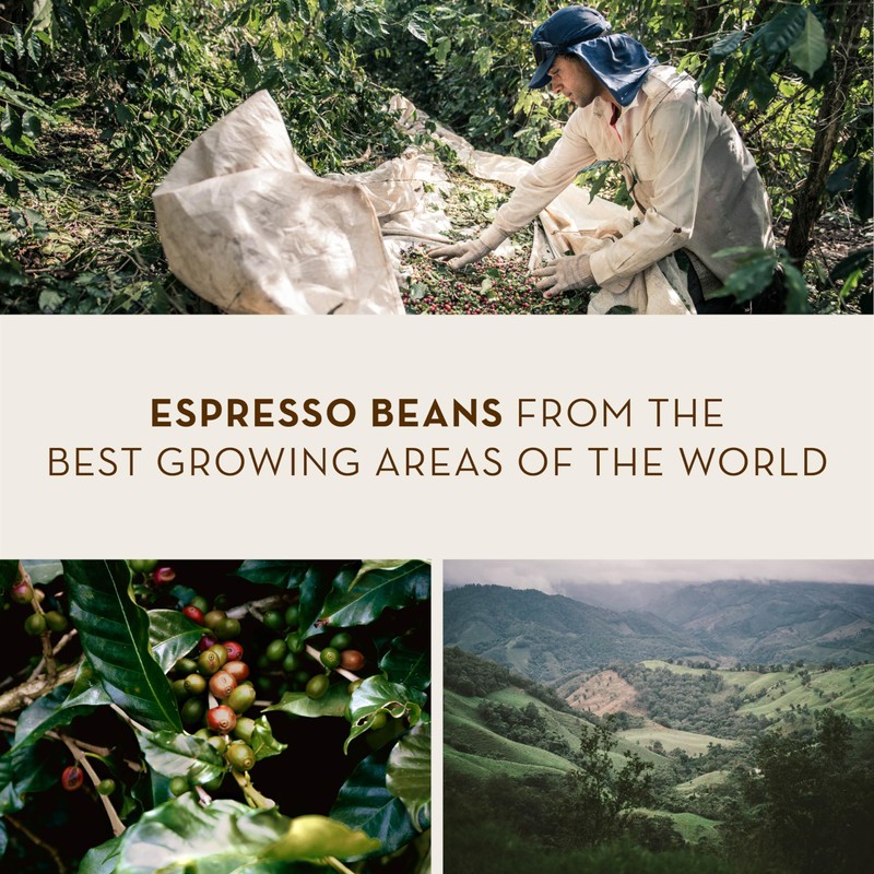 J. Hornig Caffè Crema Espresso Beans, Caffè Crema Classico, Strong