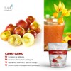 Avelit Superfoods | Camu camu en polvo 100g | 100%