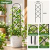 Metal Plant Trellis for Climbing Plants – Decorative Garden Stake