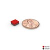 Square Block Magnets 1/4x1/4x1/8 - Magnetic Holder Fastener Building Rectangular