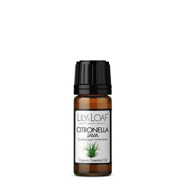 Lily & Loaf Citronella Java Organic Essential Oil (Cymbopogon winterianus)