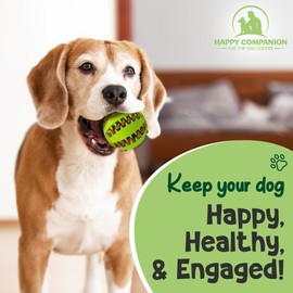 Happy Companion | Dog Treat Ball Dispenser | Interactive Natural Rubber Toy for Boredom, Physical & Mental Stimulation, for Medium Sized Dogs (Medium 7cm 2.7in, BLUE, GREEN 2 Pack)