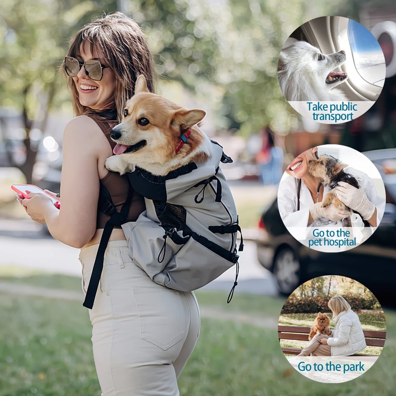 Galatée Dog Carrier Backpack, Portable Adjustable Dog Backpack, Ventilated Pet