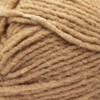 Bernat Forever Fleece Yarn, 1 Pack, Bergamont