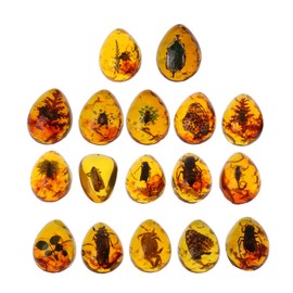 Zaagot Animals Amber for Butterfly Stone Pendant Necklace e for Jewe