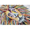 Croydex Steven Brown Lewis McZoo Shower Curtain, Multicolour, 1800x1800