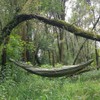 (BUSHMEN travel gear) Bushmen Travel Gear ZEN - Hammock Hammock