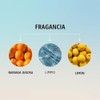 Hask - Aceite de argán curativo para tratamiento de brillo
