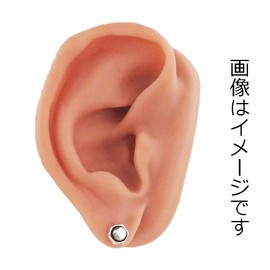 Pia Collection Nut Earrings Stud Earrings [Silver 925] 片耳 Sold