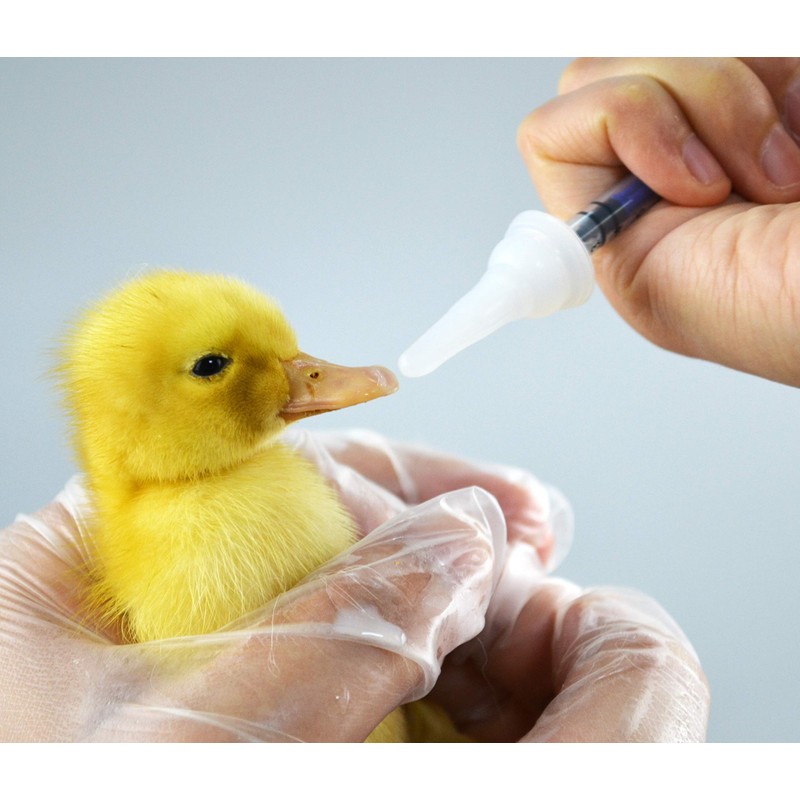 Pet Feeding Bottle. Pet Syringe. Pet Puppy Bottles. Dog and