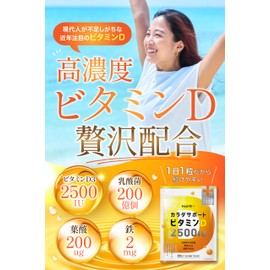 health＋ 高濃度ビタミンD 2500IU １日分のビタミンD 乳酸菌200億個 亜鉛２㎎ 葉酸200μg 30粒 約30日分 GMP国内製造 飲みやすい小粒タイプ