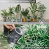 DR.UANG Small Watering Can Indoor Plants with Long Spout (1L,