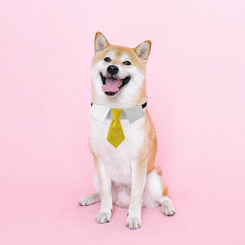 Dog Collar, Soft Polyester Dog Bow Tie with Metal Buckle