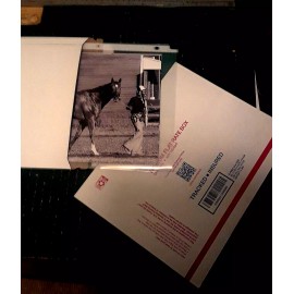 SECRETARIAT 8 X 10 PHOTO ~ HORSE RACING PICTURE Belmont Triple Crown