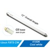 Accway (6 Pack) F8T5/CW 4100K 12’’ Linear Fluorescent Light Bulb,