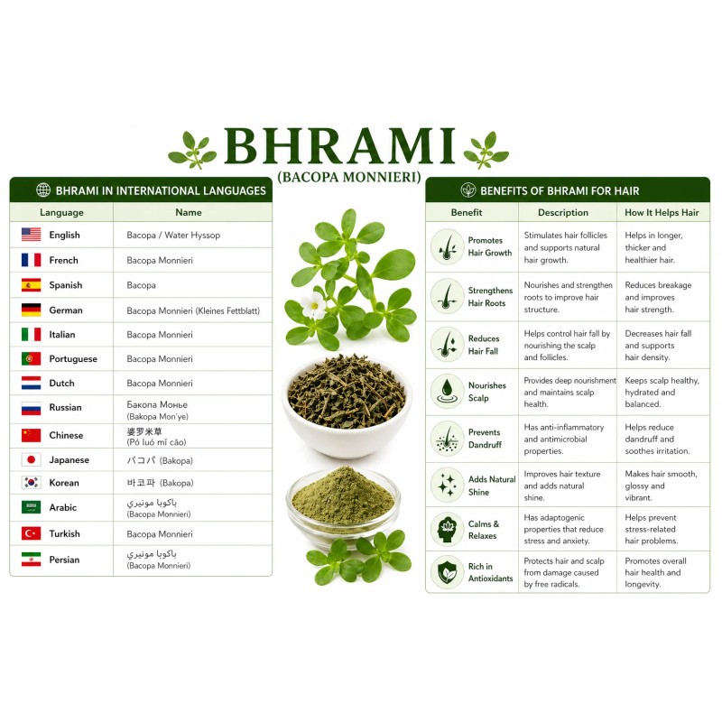 Brahmi Oil Infusion Grade Fine Powder Bacopa Monnieri Also Known