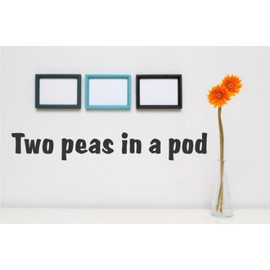 Decals - Two Peas in A Pod Quote Home Living Room Bedroom Decor - Vinyl Wall Sticker - 22 Colors Available Size 5 Inches X 22 Inches