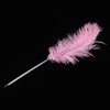5pcs Feather Ballpoint Pens Writing Signatures Calligraphy Quill Pen Home