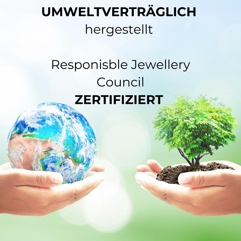 Traveller Men's Stud Earrings Stainless Steel Black Made in Germany,