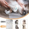 Cat Steam Brush 3 in 1 Cat Brush with Steam