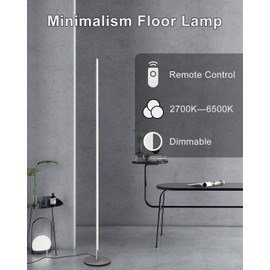 TACAHE Minimalism Floor Lamp Dimmable LED 2700K-6500K Modern Floor Lamp 57" Tall Standing Lamp with Remote Controller Metal Floor Lamps for Living Room, Bed Room 20W - Silver