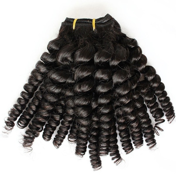Bella Hair Brazilian Bouncy Curls 1pc 100% Human Virgin Curly Hair Weft Weaving Funmi Hair 100g Natural Black Color (24inch)