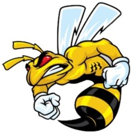 NOSTALGIC SUPER BEE FIGHTER HARD HAT STICKER TOOLBOX STICKER LAPTOP DECAL