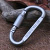 lock D carabiner 5ea