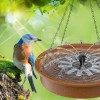 Outdoor Solar-Powered Bird Bath Fountain: Updated Hummingbird Design for Gardens