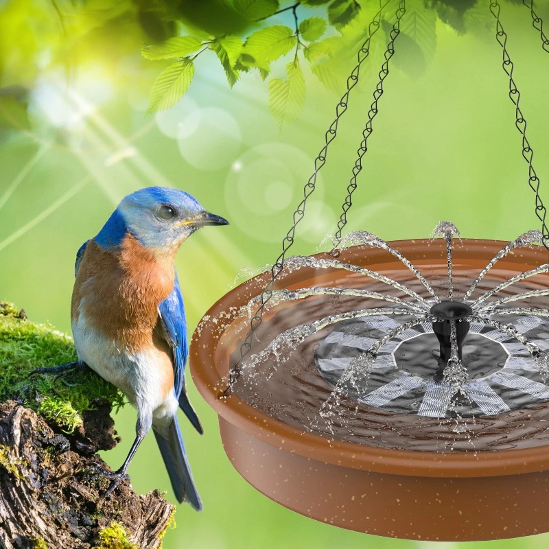 Outdoor Solar-Powered Bird Bath Fountain: Updated Hummingbird Design for Gardens