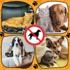 Tudomro 2 Pcs Pet Deterrent Mat for Couch Keep Dogs