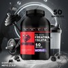 Suplemento Creatina Glutamina Bull Protein 1kg 50servicios