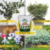 Harris Bonsai Soil, All Purpose Premium Blend for Outstanding Growth,
