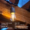 12volt LED Light Bulb 4W Edison Filament Vintage ac/dc12V 24V