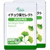 【リプサ公式】 イチョウ葉セレクト 約3か月分×2袋 C-509-2 ギンコライド 国内製造