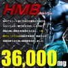 SLIMTECH LAB HMB×BCAA パンプアッププロ 36000×36000 大容量約6ヶ月分/360粒（ＨＭＢ、ＢＣＡＡ、α-リポ酸、Ｌ-カルニチン、Ｌ-オルニチン、Ｌ-アルギニン、Ｌ-グルタミン、カルシウム）