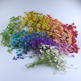 LYFORTZY 9 Mixed Color 90 Branches Babys Breath Flowers Set,Real Gypsophila Natural Dried Pressed Flowers,for Resin Candle Crafts Scrapbooking Bookmark DIY Nails Jewelry , Plant Herbarium +1 Tweezers