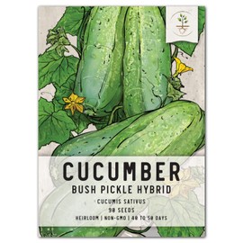 Seed Needs, Bush Pickle Cucumber Seeds - 30 Heirloom Seeds for Planting Cucumis sativus - Non-GMO & Untreated to Plant an Outdoor Vegetable Garden (1 Pack)