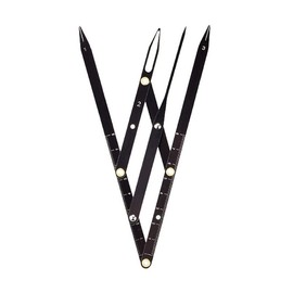 Augenbrauenlineal mit Goldenem Schnitt, Augenbrauen-Goldschnitt-Messschieber, Präzise Positionierung, Faltbares Edelstahl-Augenbrauen-Messwerkzeug