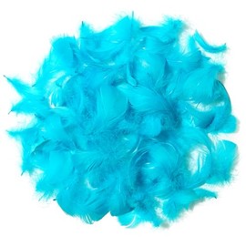 300pcs Colorful Feathers 2-3 Inches Bulk Feathers for Crafting, Dream Catcher Accessories, Art Projects, DIY Crafting, Handi Crafts, Party Decoration (Turquoise)