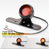 Namolit Motorcycle Tail Light Brake Light with License Plate Bracket