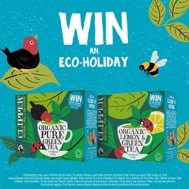 Clipper Organic Pure Green Tea Bags | 320 Teabags (4 x Boxes of 80) | Bulk Buy for Office, Home & Catering | Eco-Conscious, Fair Trade Tea | Natural Unbleached Plant-Based & Biodegradable