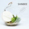 SHINBEE Shinbi Hydrogen Beauty Cleansing Hydrogen Tone-Up Functional Whitening Soap / SHINBEE 신비 수소 미용 클렌징 수소톤업 기능성 화이트닝 비누