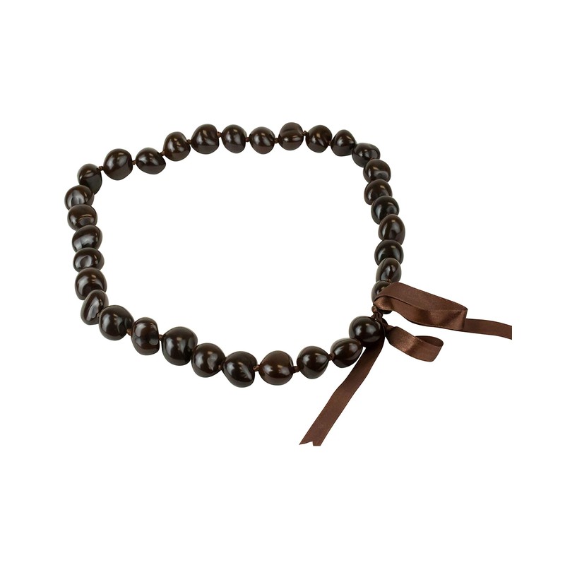 Hawaiian Kukui Nut Leis Beads Necklaces with Hand Painted Flower