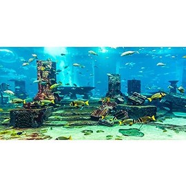 AWERT Undersea Theme Aquarium Background Colorful Coral Tropical Fish Ruins Underwater World Fish Tank Background 48x24 inches Vinyl